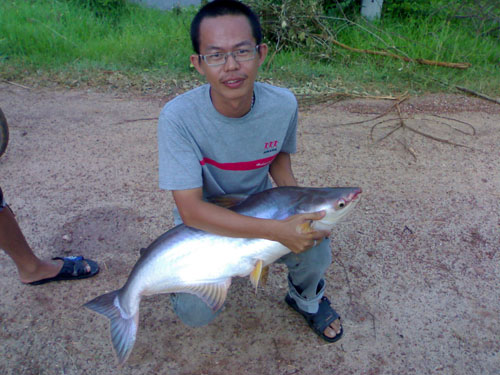 ปลาบึก ที่ลาดยาว