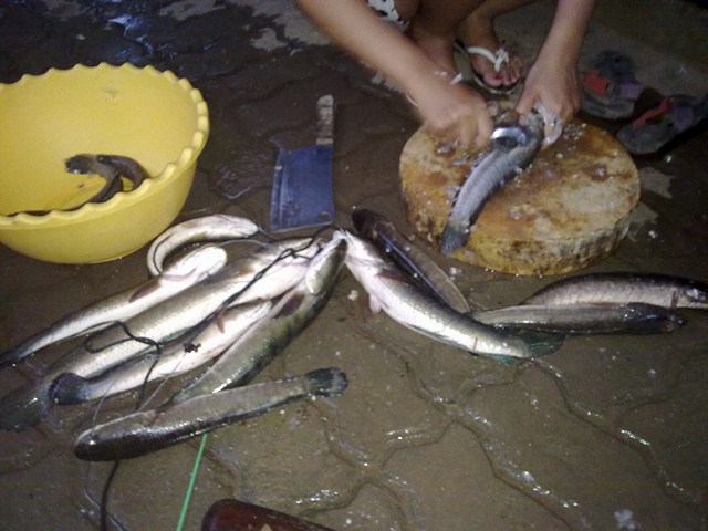 ก่อนจะกลับไปปฏิบัติหน้าที่ หมายใกล้บ้าน ลาดหญ้า