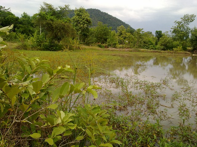 ก่อนจะกลับไปปฏิบัติหน้าที่ หมายใกล้บ้าน ลาดหญ้า