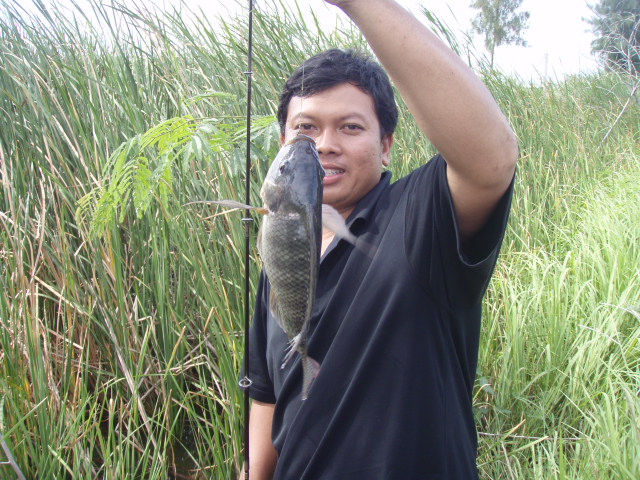 ช่อน...หลังสายฝน...กับเพื่อนใหม่ในสยามฟิชชิ่ง