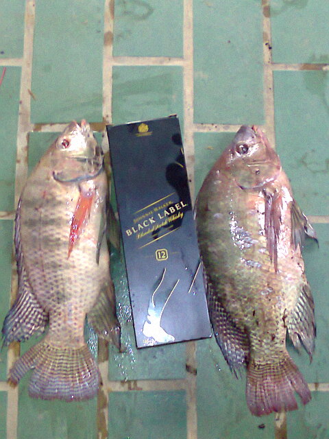 รุ่นปู่