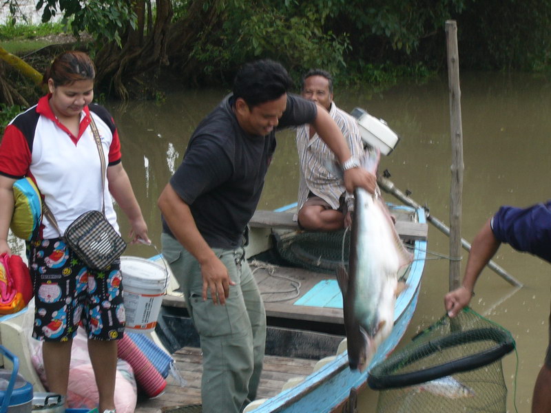 เรือนแพฟิชชิ่ง ผมลงเองเลย