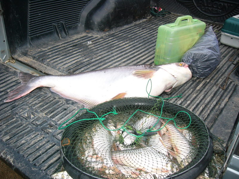เรือนแพฟิชชิ่ง ผมลงเองเลย