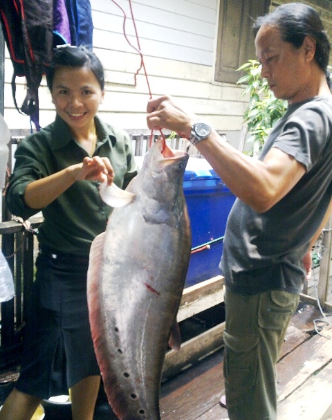 ปลากรายเจ้าพระยา 7.4 kg.