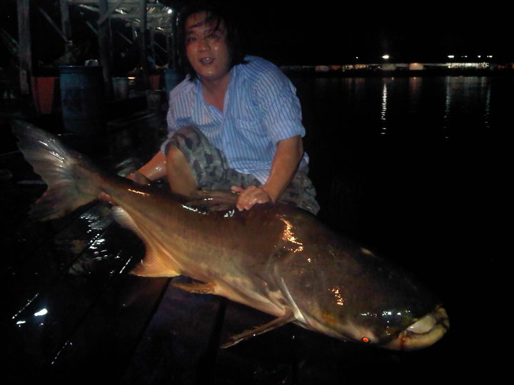 บึงสำราญกับวิลลี่ 60 KG