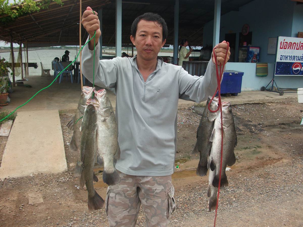 ๑๑๑ทริพพิเศษ"บ่อน้องพลอย"๑๑๑