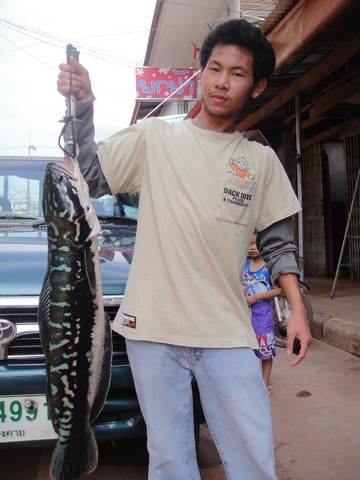 ของน้า Amazon ของเค้าดีจริงๆ
