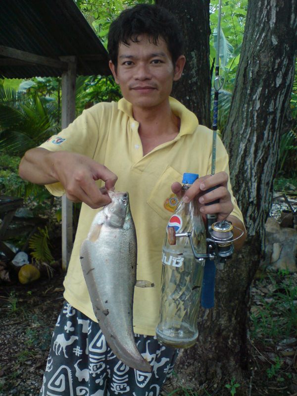 สลาด...