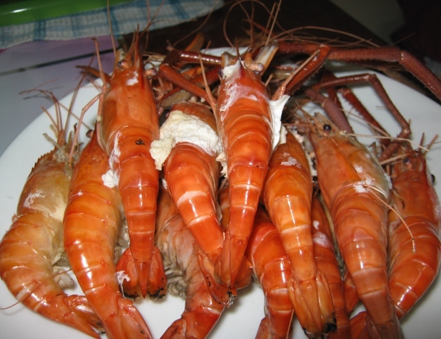 >>เบื่อปลาขังไปลองกุ้งขังบ้าง<<