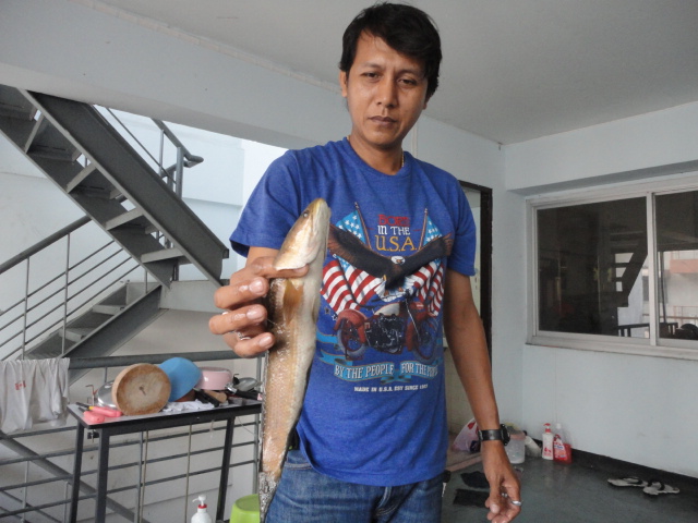 ครึ่งวันกับช่อนตัวเดียวครับ