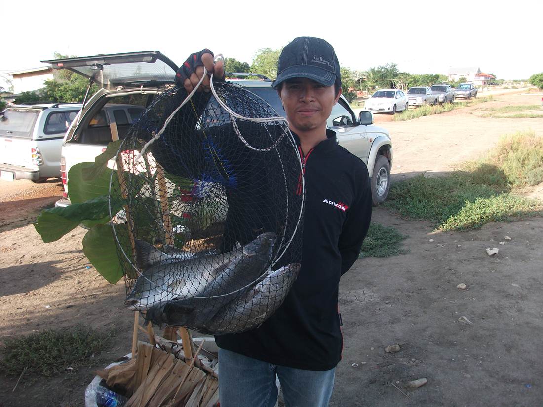 ทริพพิเศษ"บ่อน้องพลอย"29 พค.นี้คับ