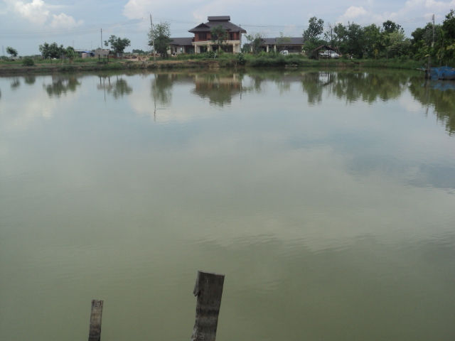 1 ชั่วโมง กะพงบ้านโพ