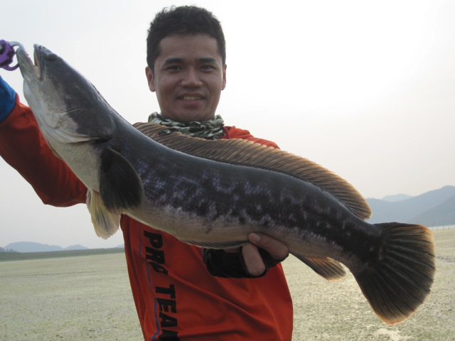 รับสองที่ ตีชโดปราณ หารค่าน้ำมัน ปิด