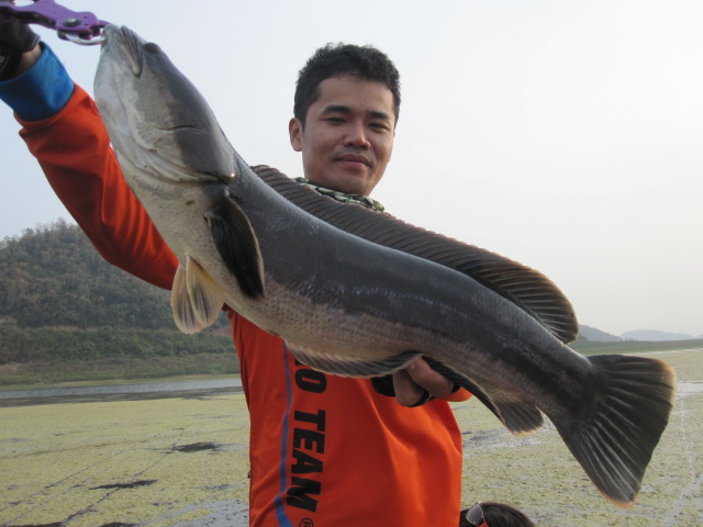 รับสองที่ ตีชโดปราณ หารค่าน้ำมัน ปิด