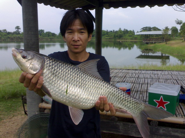 บ่อลุงเอก ต้นฤดูฝน 2