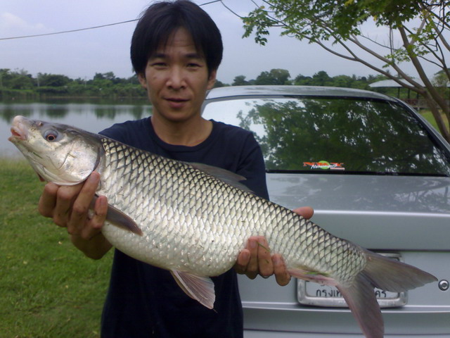 บ่อลุงเอก ต้นฤดูฝน 2