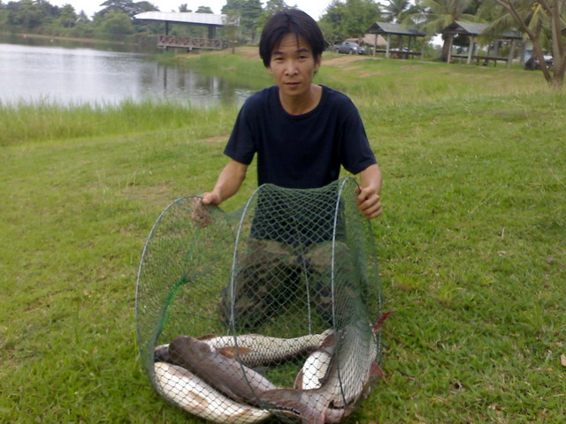 บ่อลุงเอก ต้นฤดูฝน 2