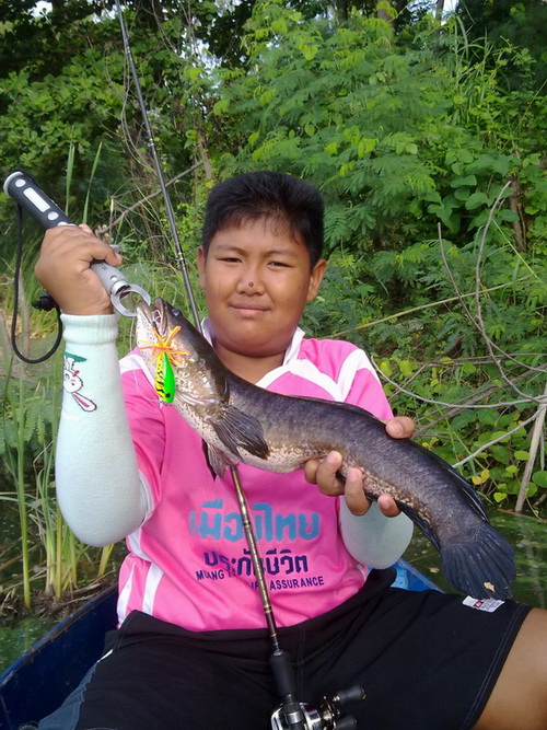 กัดกระจาย
