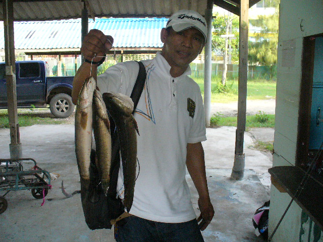 รวมๆบ่อคูณ ( ประชาอุทิศ 76 )