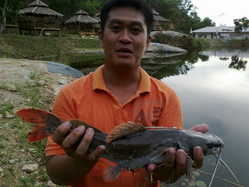 ครั้งแรกตีเหยื่อปลอม Minnow Rapala @R/C PATTAYA