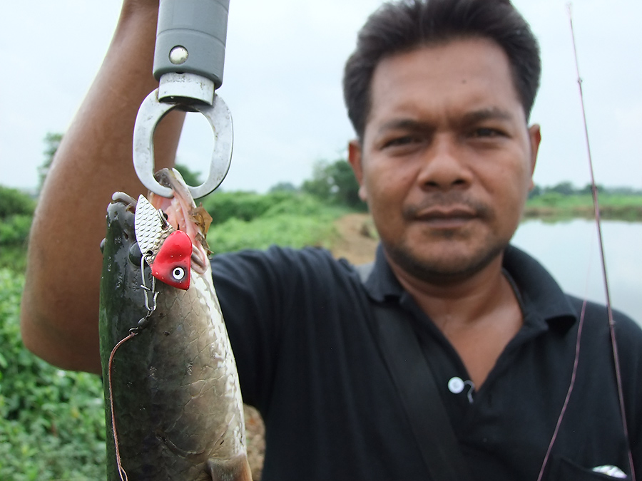 ทริพนี้จัดให้ ปลายางทีม โดยเฉพาะครับ