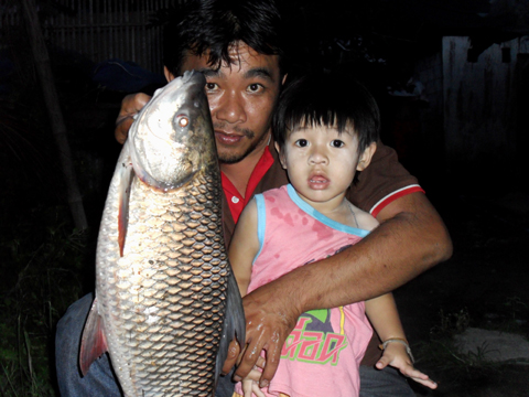ยี่สกใหญ่ ณ. วังสีดา วัดละมุดใกล้บ้านผมเองครับ