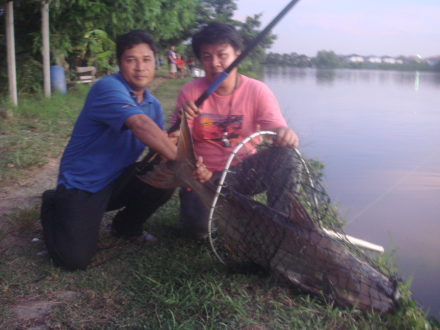 หลิวบึก