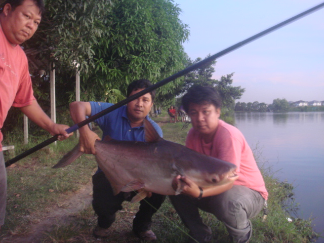 หลิวบึก