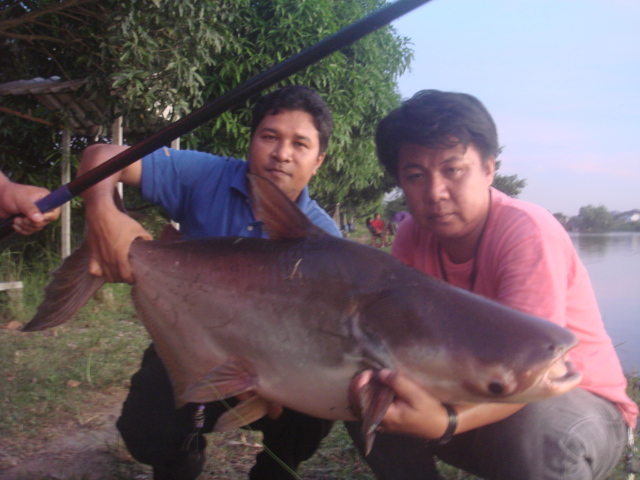 หลิวบึก