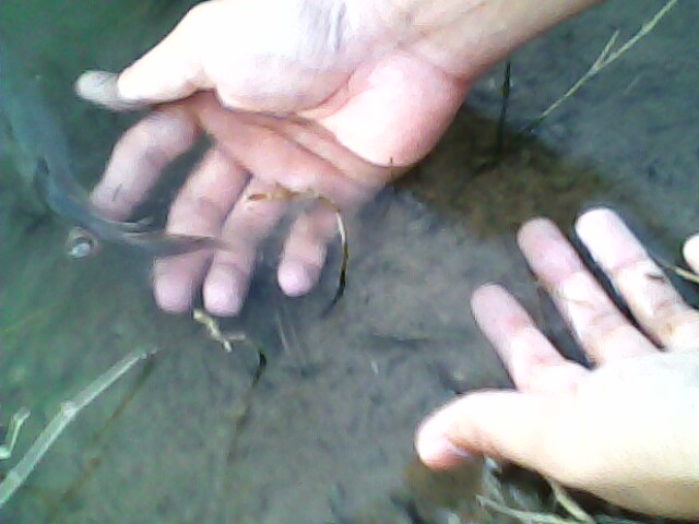 มันส์ๆ หลังเลิกงาน ......4......