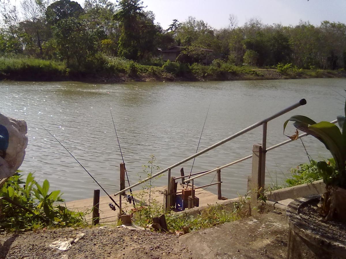 ปลาใหญ่ๆ คลองท่าจีน จ.ตรัง