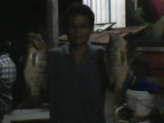 วันอาทิตย์ที่แล้ว