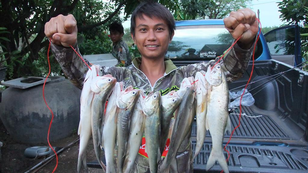 เทสหมายกุเราครับ