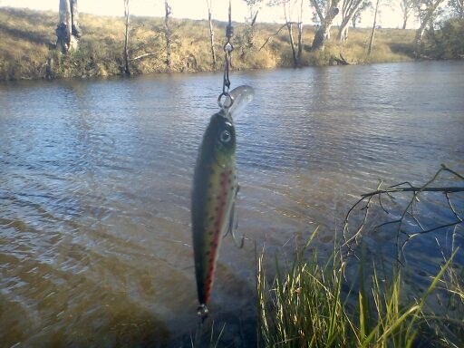 เที่ยวฟาร์ม.ตกปลา.อะได้.Murray Cod..Australia.ครับ