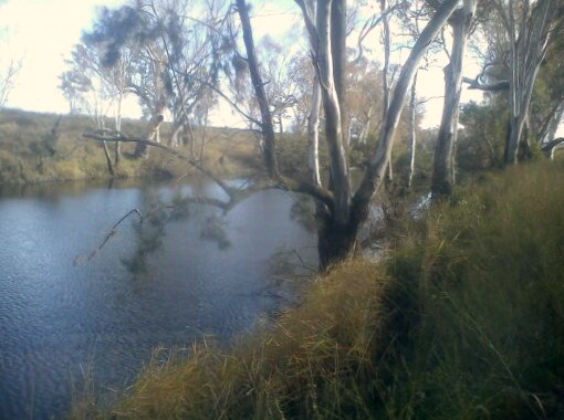 เที่ยวฟาร์ม.ตกปลา.อะได้.Murray Cod..Australia.ครับ