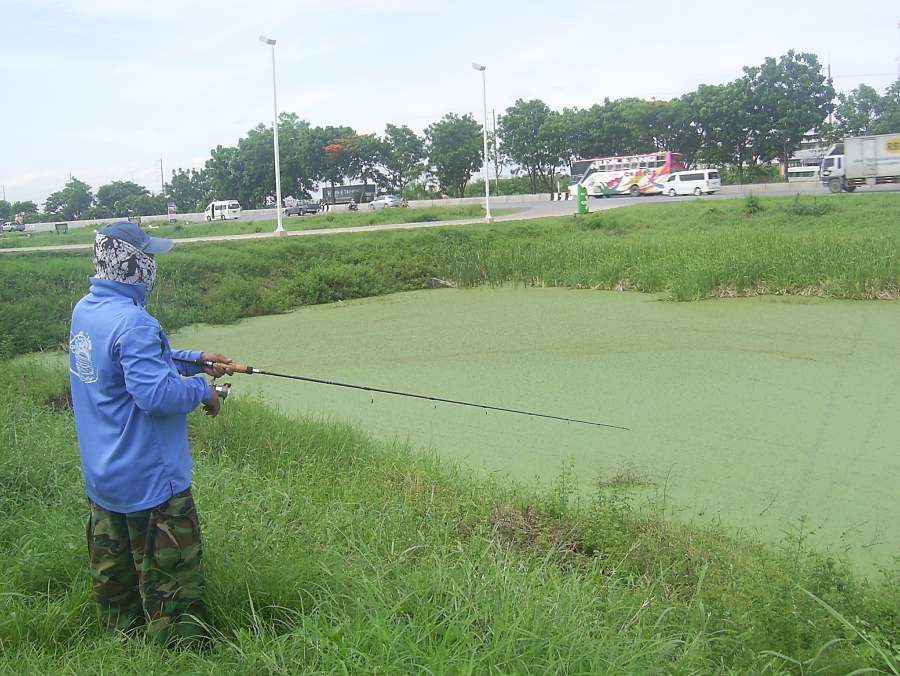 เปิดฤดูตกปลาช่อน @......หน้าปั้มอยุธยา