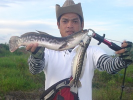 ปลาพัทลุงคร้าบ