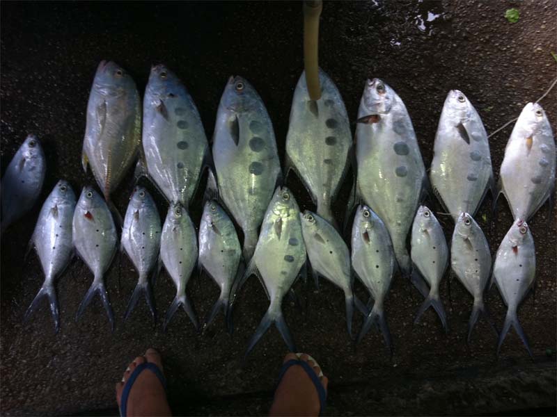 หาดท้ายเหมืองโดยท้ายเหมืองฟิชชิ่ง