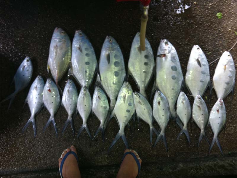 หาดท้ายเหมืองโดยท้ายเหมืองฟิชชิ่ง