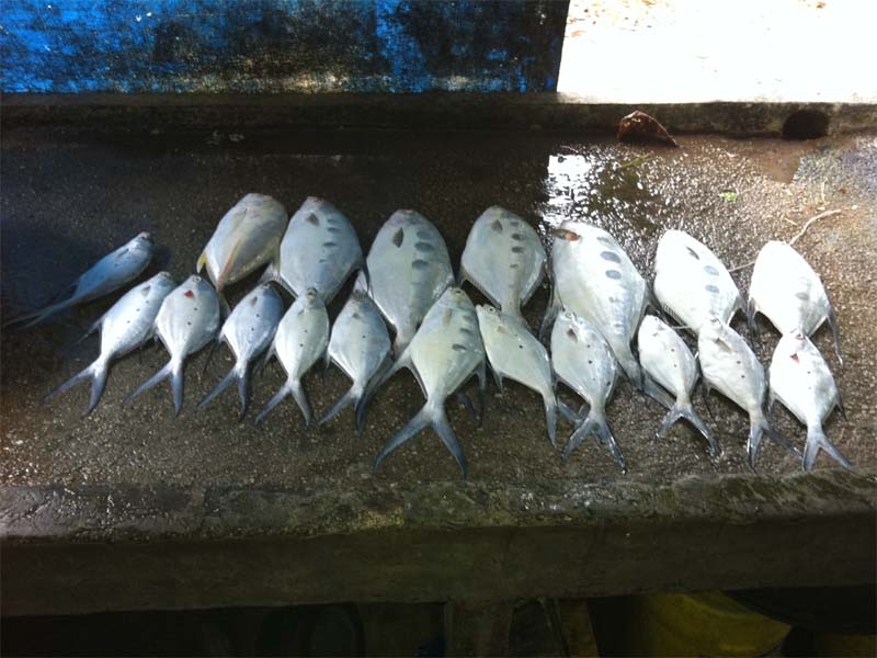 หาดท้ายเหมืองโดยท้ายเหมืองฟิชชิ่ง