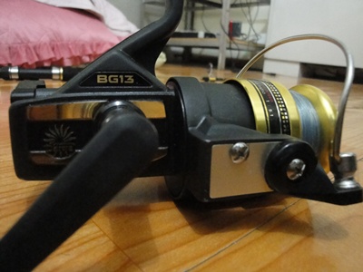 BG 13