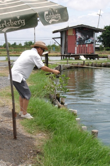 โปรไทยและโปรญี่ปุ่น