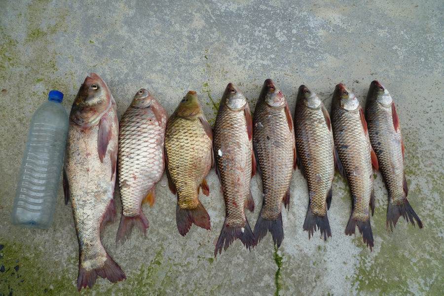 ทดสอบคันใหม่ที่ ch fishing ครับ