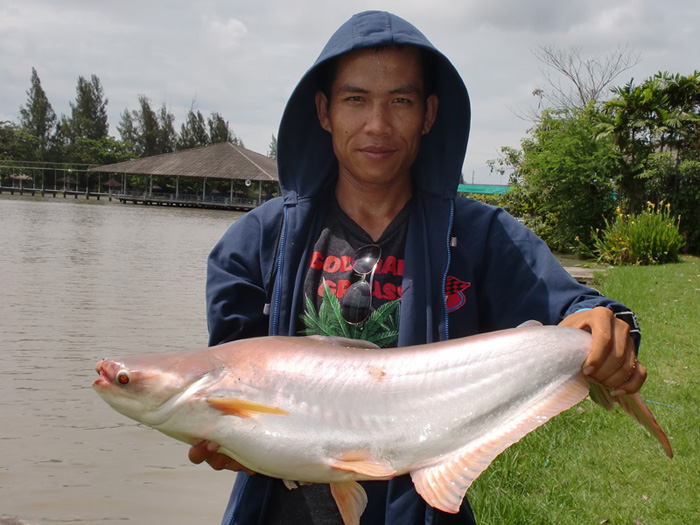 มันต่างวัยในวันหยุด