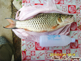 ลงเรือครั้งแรก ณ อ่างดอกกลาย เมื่อน่นมาแล้ว