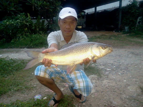 บึงบึก เมื่อวันอาทิตย์