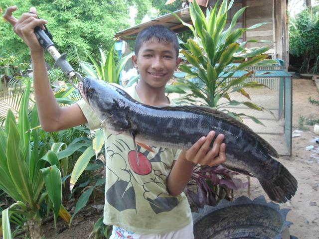 คนตกไม่ได้ถ่าย(คนถ่ายไม่ได้ตก)