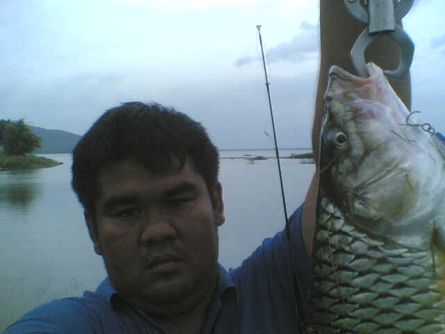 หายากจริ้งๆๆกระสูบป่าสัก