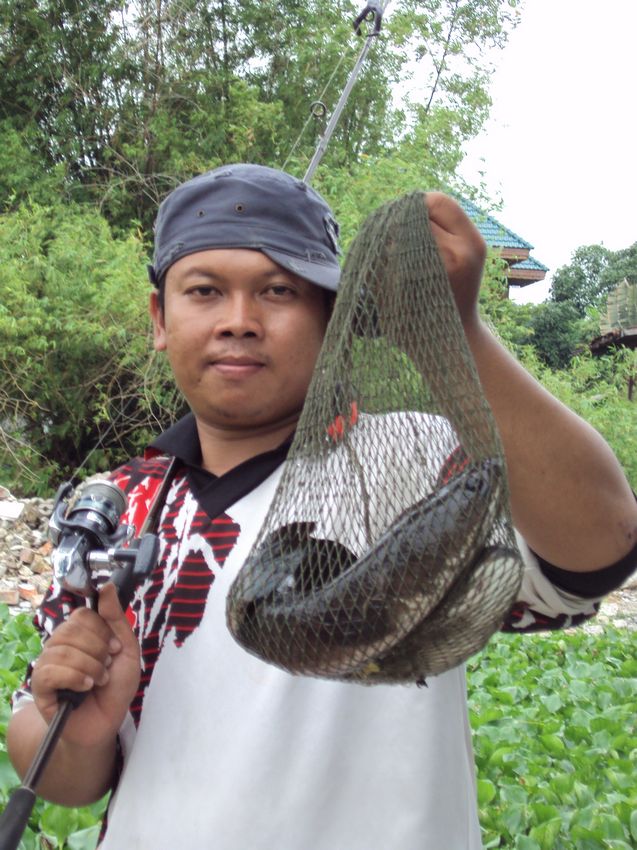 คัดไซร์ช่อนงามๆ กับ yoolek 