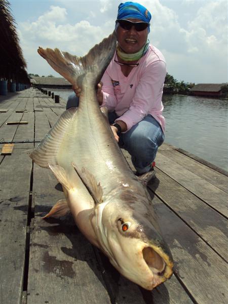 Bueng Samrarn Fishing Park